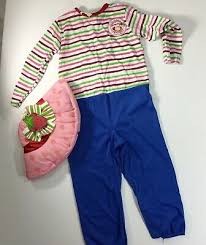  Strawberry Shortcake Adult Costume Accessories in Dasma