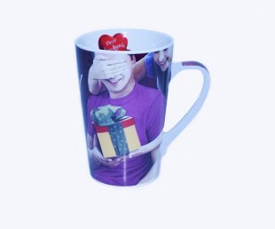 Buy Surprise Husband Mug in Kuwait