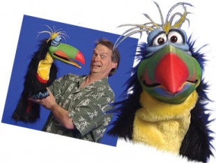 Toucan Bird Show in Kuwait