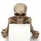 Wall-mounted skull paper roll holder