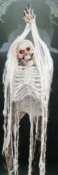 Buy White Hanging Skeleton in Kuwait