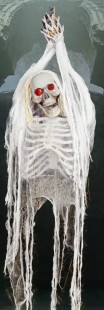  White Hanging Skeleton in Abu Hasaniya